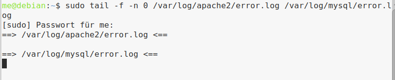 was der terminal zeigt